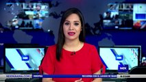 Entrevista a Patricia Nieto, Asociación diplomática - Nex Noticias