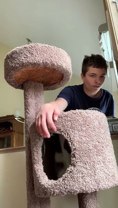 Son Messes With Cat and Gets Clawed