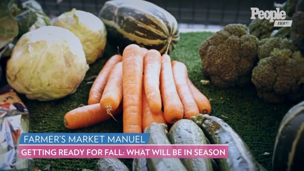 Here's Your Fall Guide to Navigating Your Local...