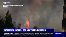 Incendie dans les Bouches-du-Rhône: 500 hectares ravagés par les flammes