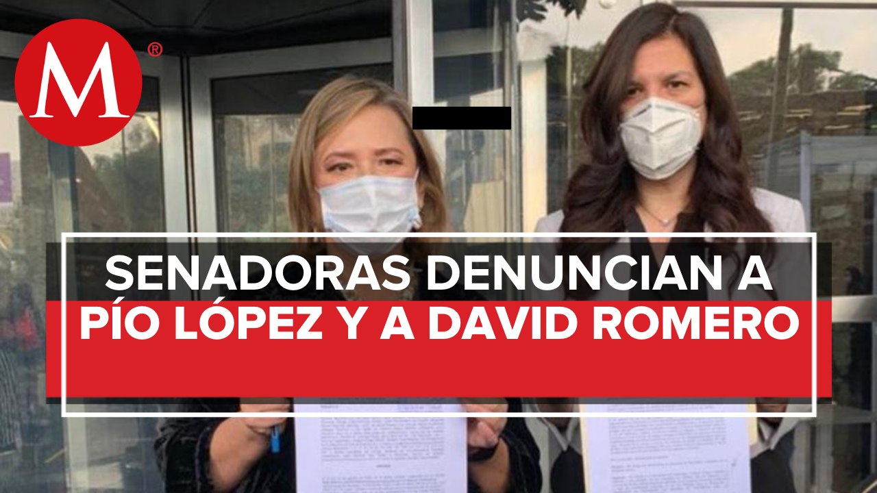 Senadoras del PAN denuncian en FGR a hermano de AMLO y a David León por videos