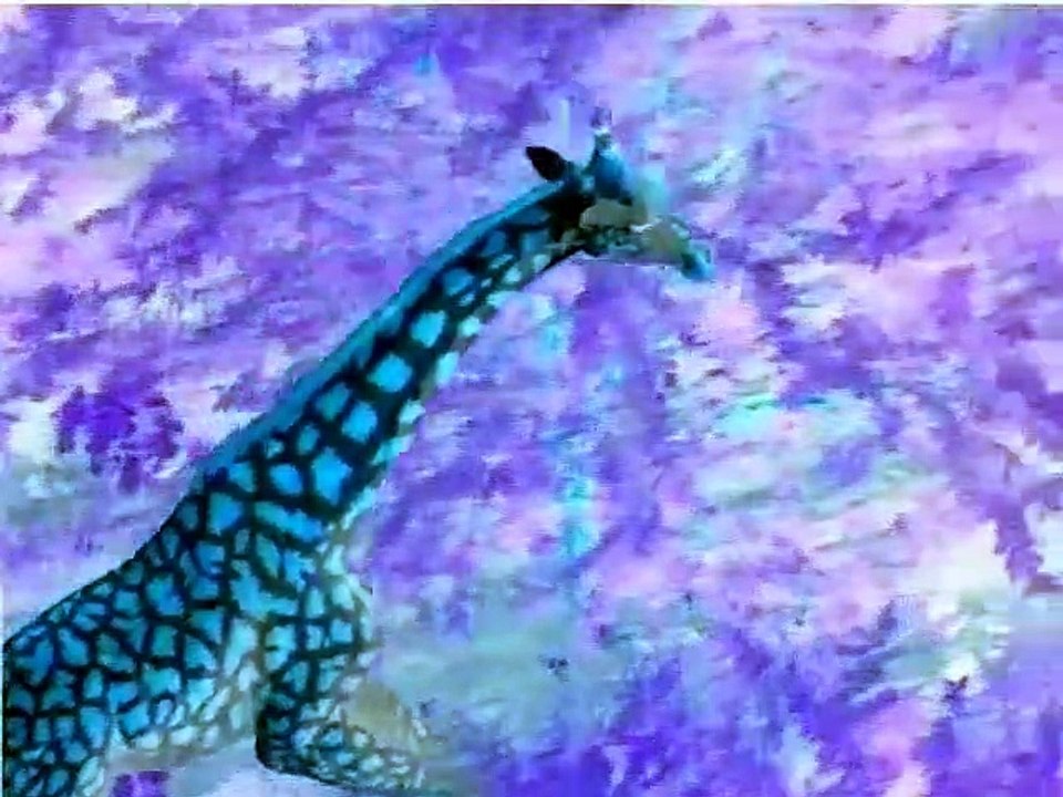 World Animals in G Major [Part 2]