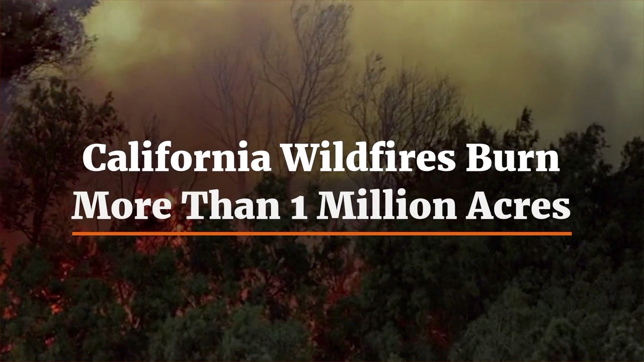 The Wildfire Is Out Of Control