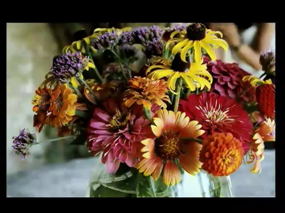 Jour après jour (2007) - Bande annonce