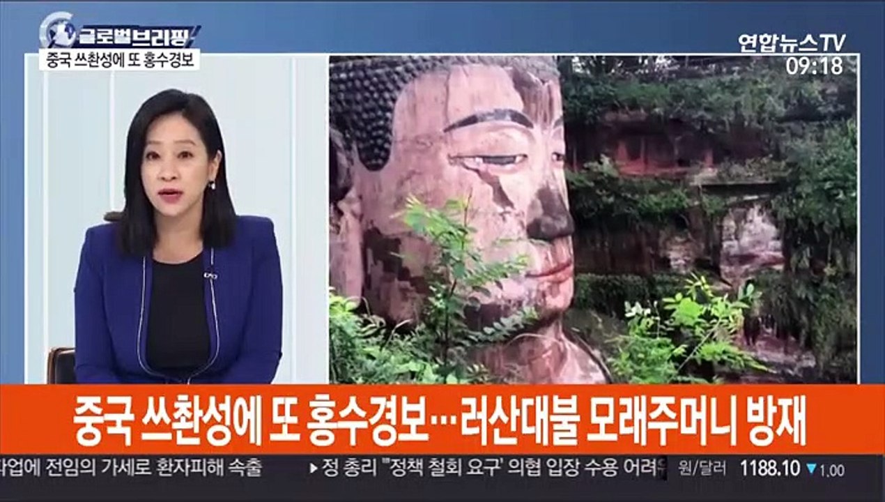 [김지수의 글로벌브리핑] WHO, 코로나 혈장치료에 신중…"증거수준 낮아" 外