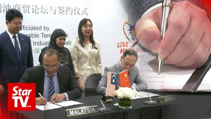 Video herunterladen: Malaysia, China sign US$891 million of palm oil purchase deals