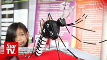 Artificial intelligence to predict dengue outbreaks