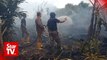 Community help needed to stop Sarawak wildfires