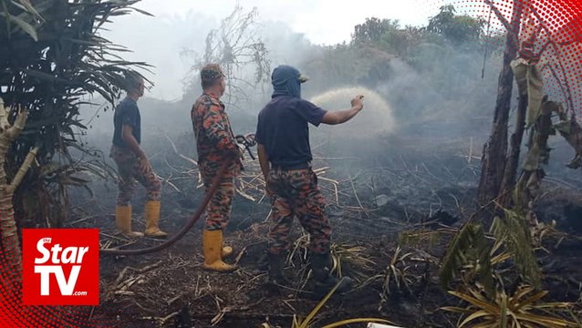 Community help needed to stop Sarawak wildfires