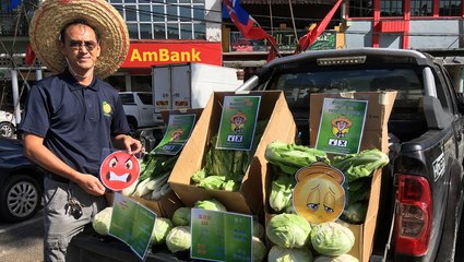 Independent candidate Wong denies rift with Pakatan’s Manogaran