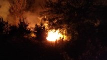 Adana Kozan’daki orman yangını sürüyor