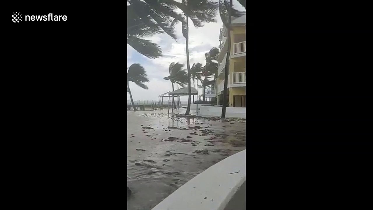 Tropical Storm Laura devastates Florida beaches