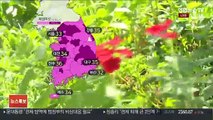 [날씨] 전국 폭염…오늘 밤부터 제주 태풍 직접 영향