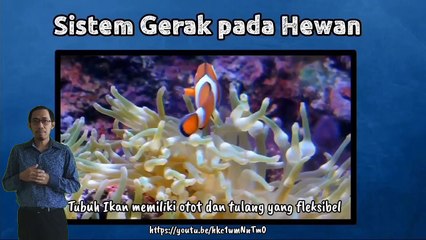 Motion System in Living Things