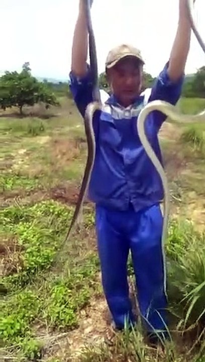 video-1595484425