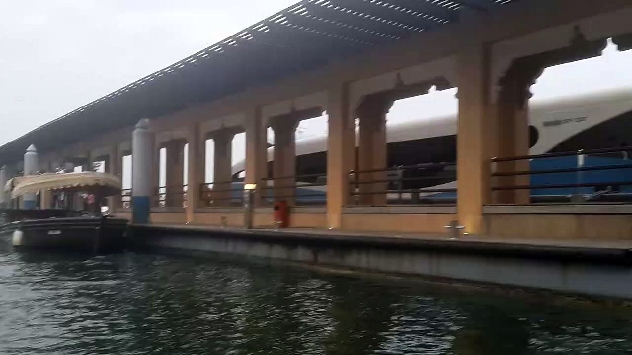 Seagulls in Dubai