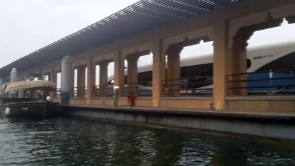 Seagulls in Dubai
