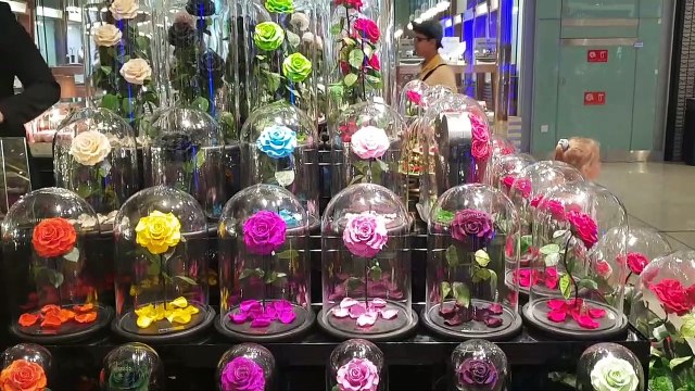 Rose showcase in Ibn Battuta Mall