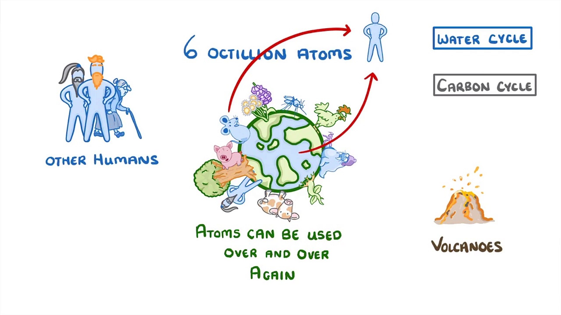 Biology -  Carbon Cycle and Water Cycle Cycles