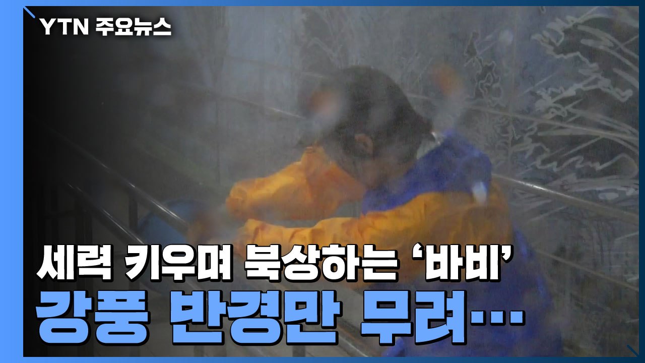 [더뉴스-더인터뷰] 세력 키우며 북상하는 태풍 '바비', 강풍 반경만 무려... / YTN