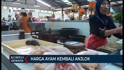Harga Ayam Turun Karena Hotel & Restoran Tidak Beroprasi