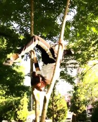 Girl Balances Herself Upside Down and Does Split in air Between Branches of Tree