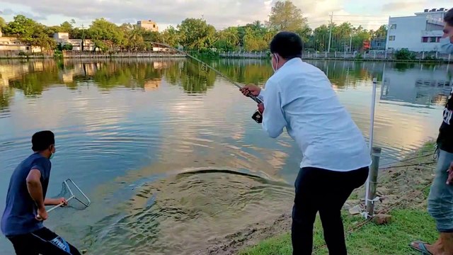 Fish Hunting || Amazing Big Rohu Fish Catch
