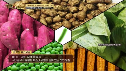 뱃살 타파에 도움 되는 『프리바이오틱스』