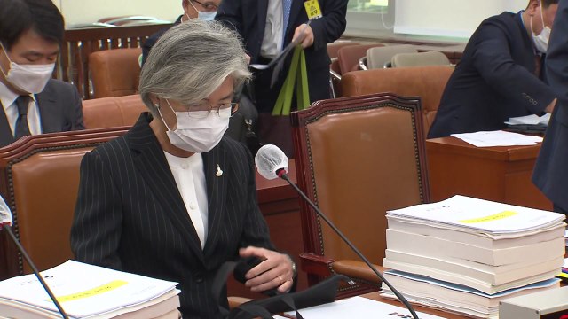 외교부 남북미 대화 동력 재점화 외교 노력 강화 / YTN