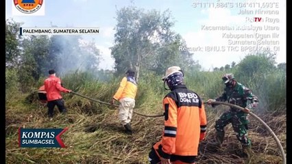 Download Video: Satgas Karhutla Sumsel Sudah Padamkan 400 Lebih Titik Api