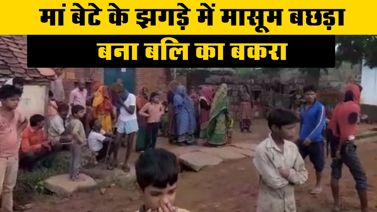 मां बेटे के झगड़े में मासूम बछड़ा बना बलि का बकरा