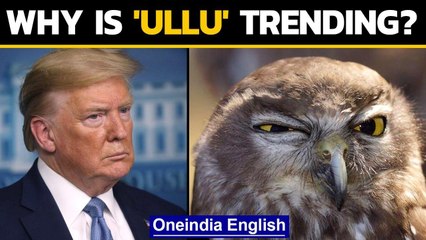 Trump is wise like an 'ullu' has cracked up Indians! Know why | Oneindia News