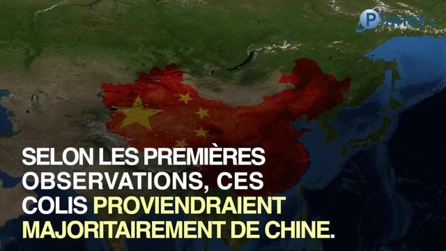 L'arnaque aux graines mystérieuses dans les boîtes aux lettres