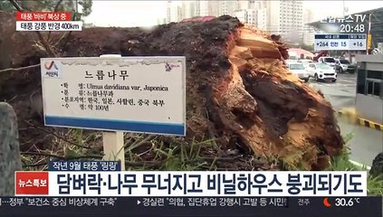 닮은꼴 태풍 '링링·볼라벤'…경로 비슷하지만 더 강해