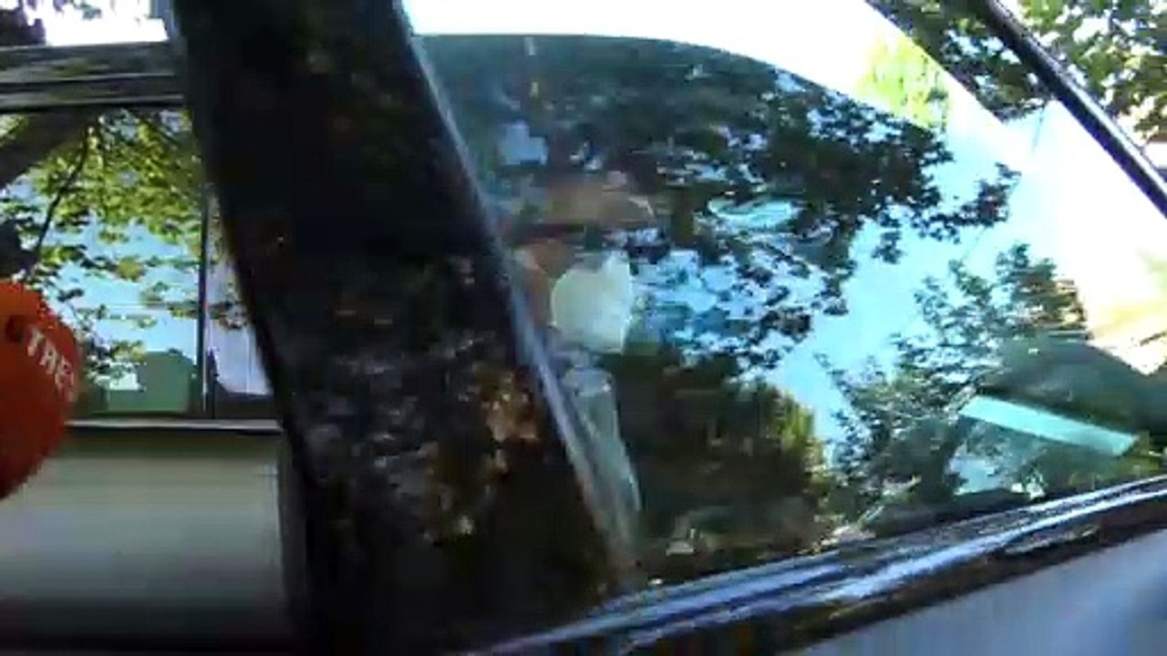 Así han reaccionado Ortega Cano y su mujer a los planes de boda de José Fernando y Michu