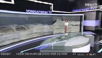 [날씨] 8호 태풍 '바비' 한반도 북상…기록적인 강풍 유의