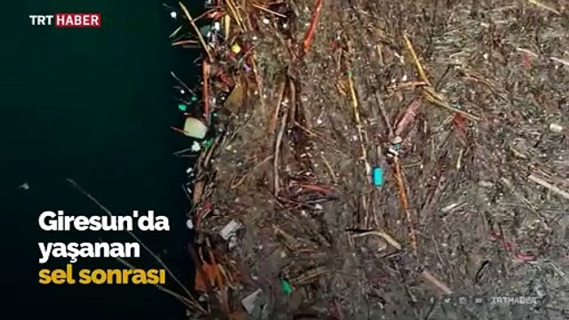 Sel dev kütükleri denize sürükledi, bu görüntüler ortaya çıktı