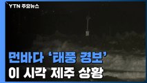 강풍 동반한 태풍 '바비' 북상...제주 먼바다 '태풍경보' / YTN