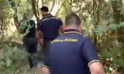 Francofonte (SR) - Sequestrata piantagione di canapa da 500mila euro (25.08.20)