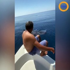 Un homme filmé en train de surfer... sur un requin-baleine !