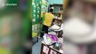 Four snakes caught in teacher's desk at school in Thailand