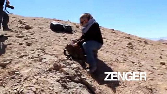 160 million year old Marine reptiles discovered in Chilean desert