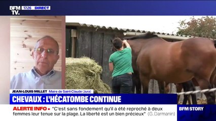 Actes de cruauté sur des chevaux : "C'est d'une cruauté inouïe (..) on a du mal à comprendre les motivations" selon de maire de Saint-Claude (Jura)