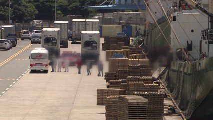 부산 집단 감염은 러시아 선박 때문...유전자 동일 / YTN