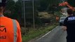 Tree felled to make way for HS2