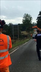 Tree felled to make way for HS2