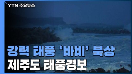 "태풍 '바비' 기운 온몸으로 느껴져" 이 시각 제주 상황 / YTN