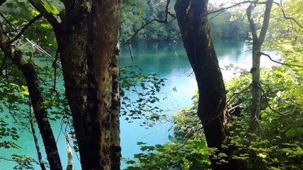 Chorwacja 2020 - Plitvice Trogir Orebic Dubrovnik