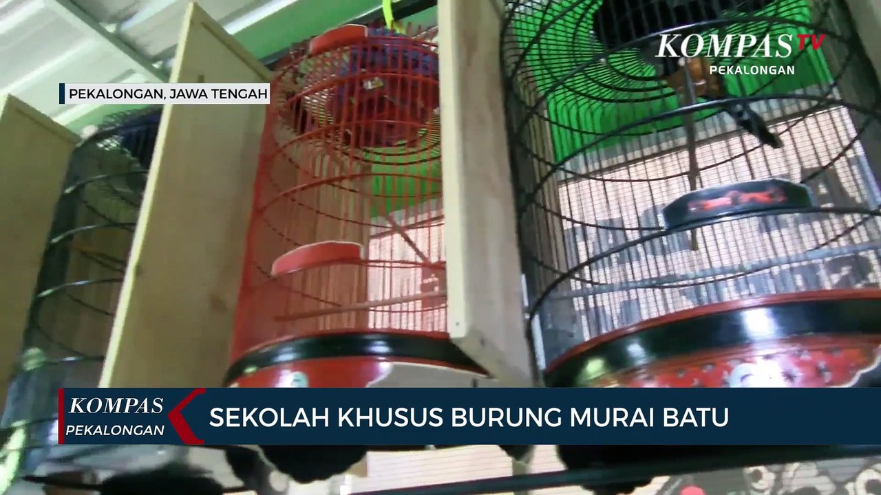 Sekolah Khusus Burung Murai Batu