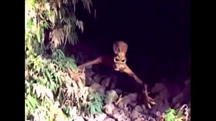Scary Bigfoot Sighting Spokane Washington May 29 2011